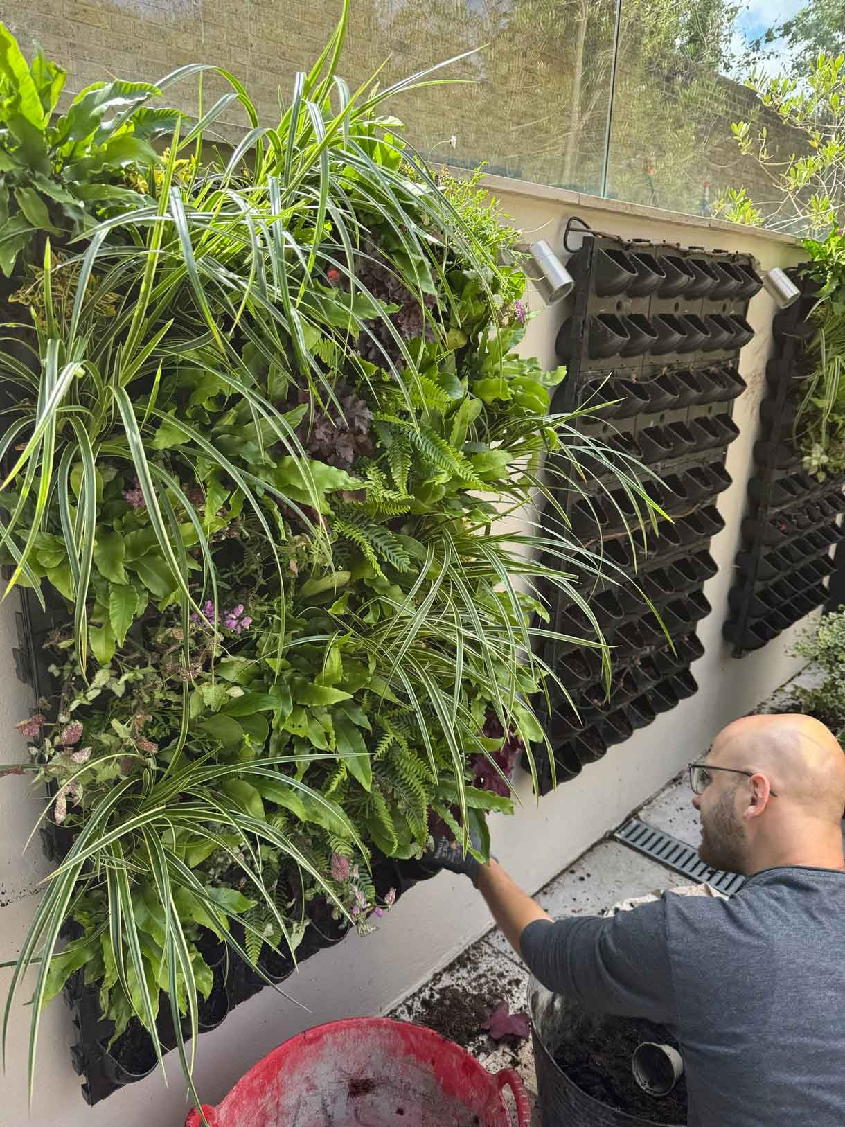 Green living wall panel, with lots of living plants