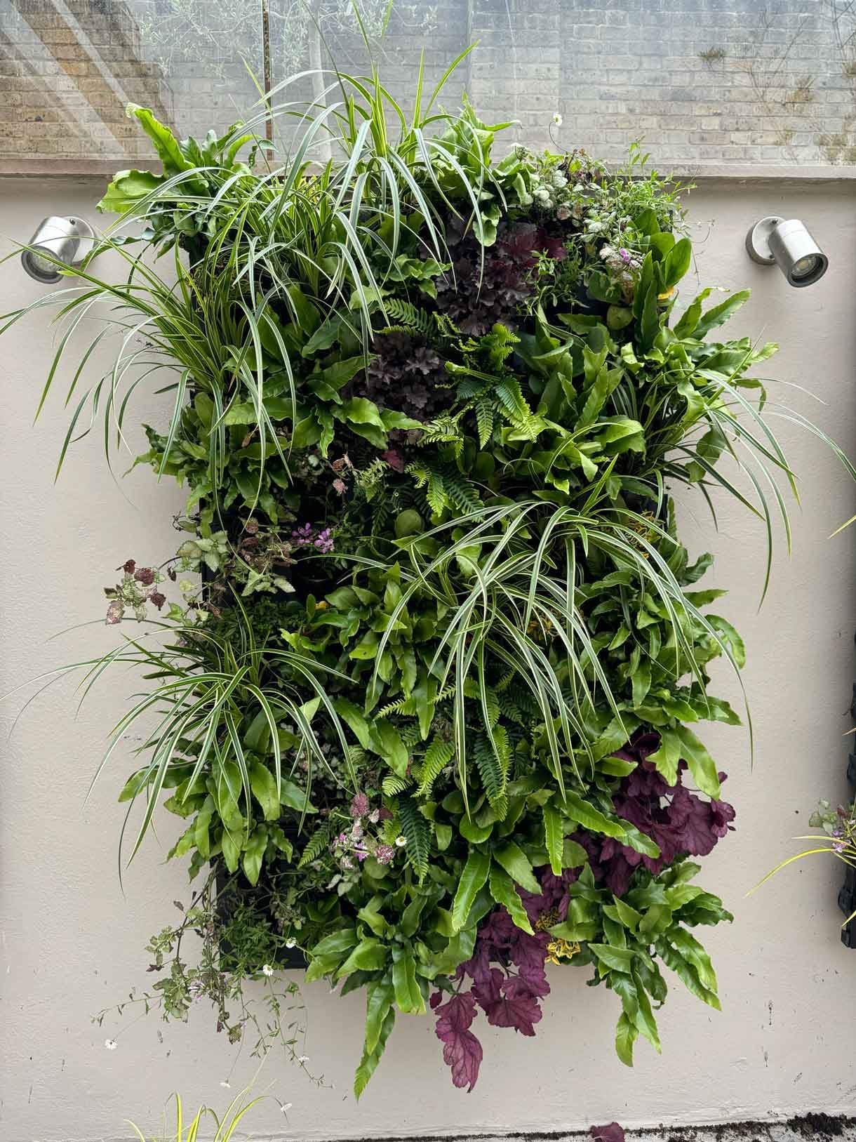 Green living wall panel, with lots of living plants