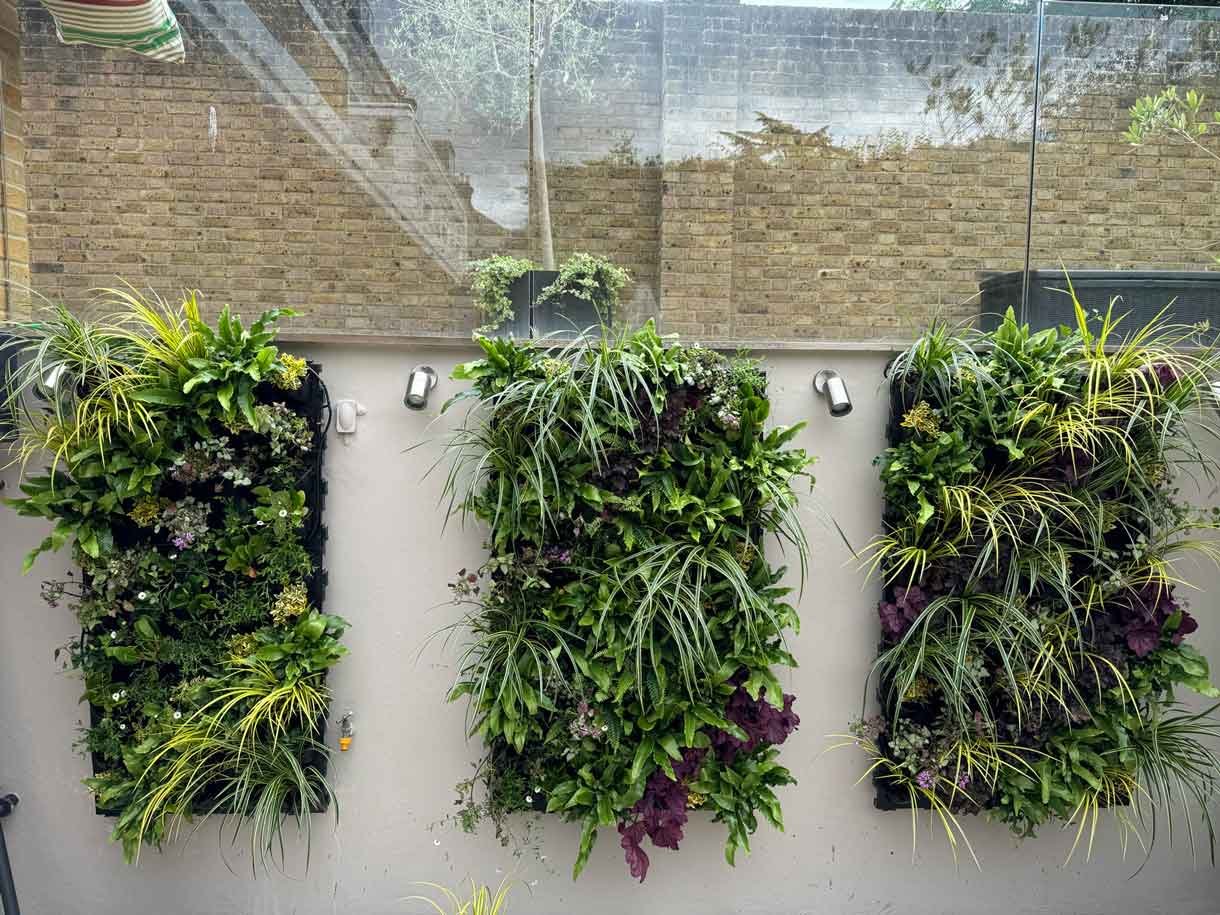 Green living wall panel, with lots of living plants
