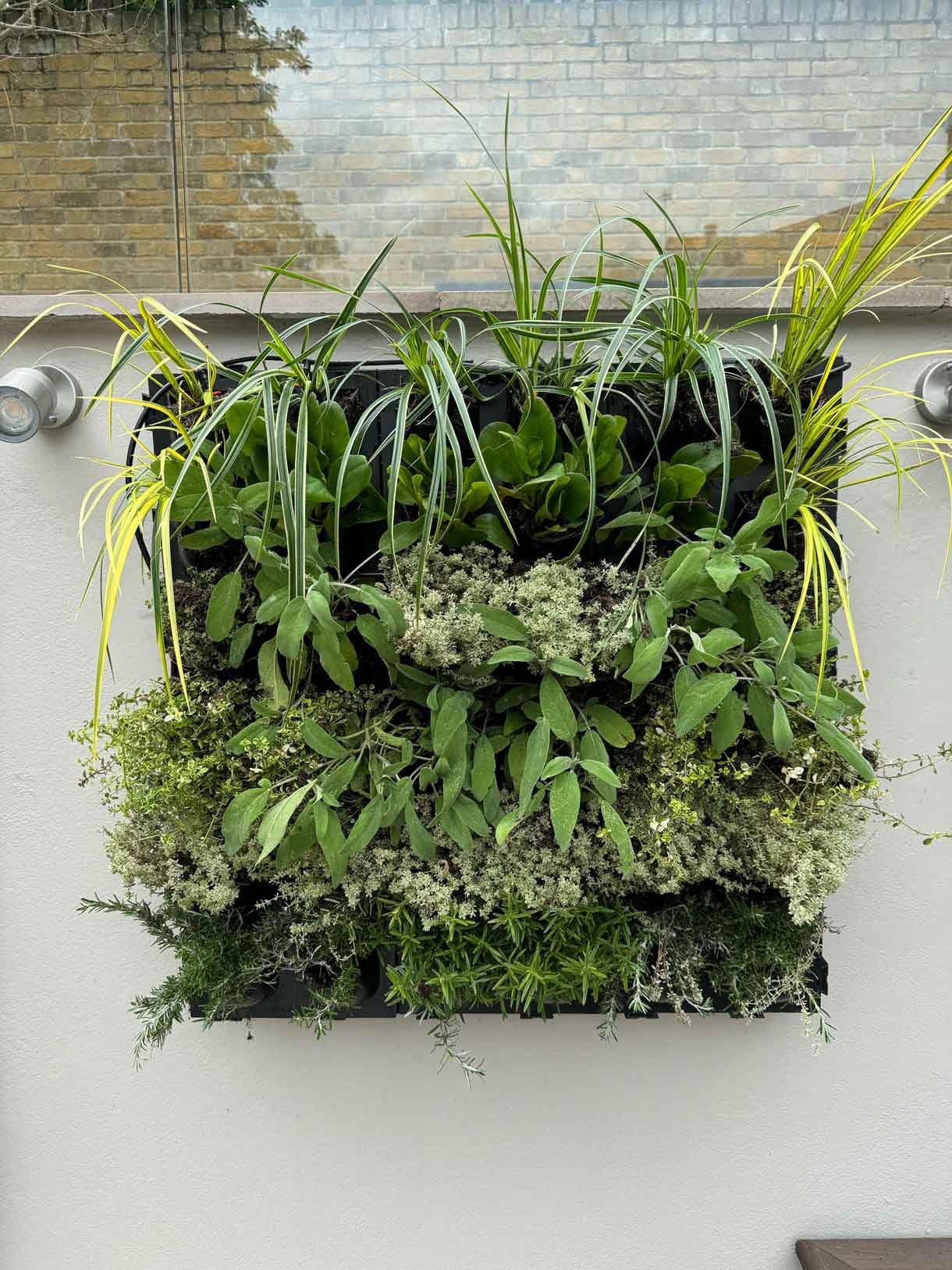 Green living wall panel, with lots of living plants