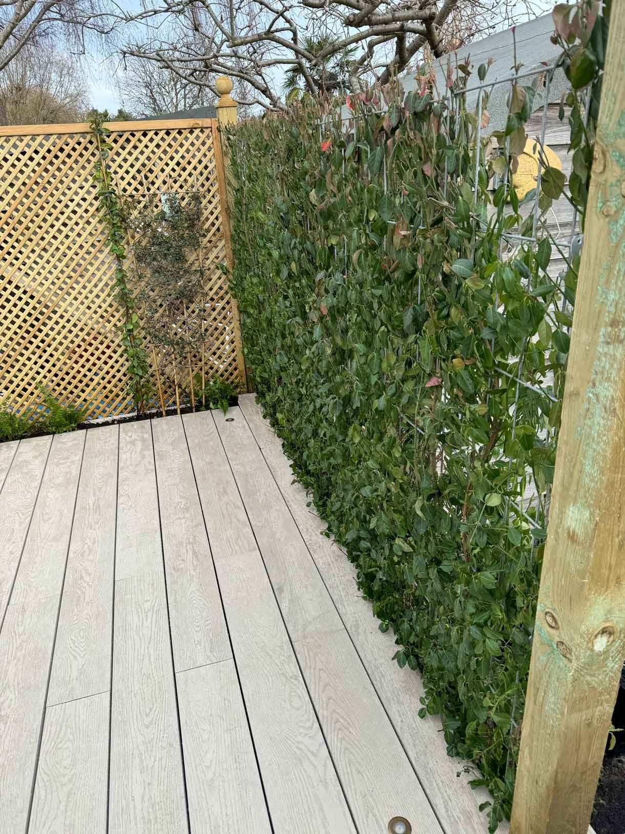 Aerial image of back garden down by the river with composite decking.