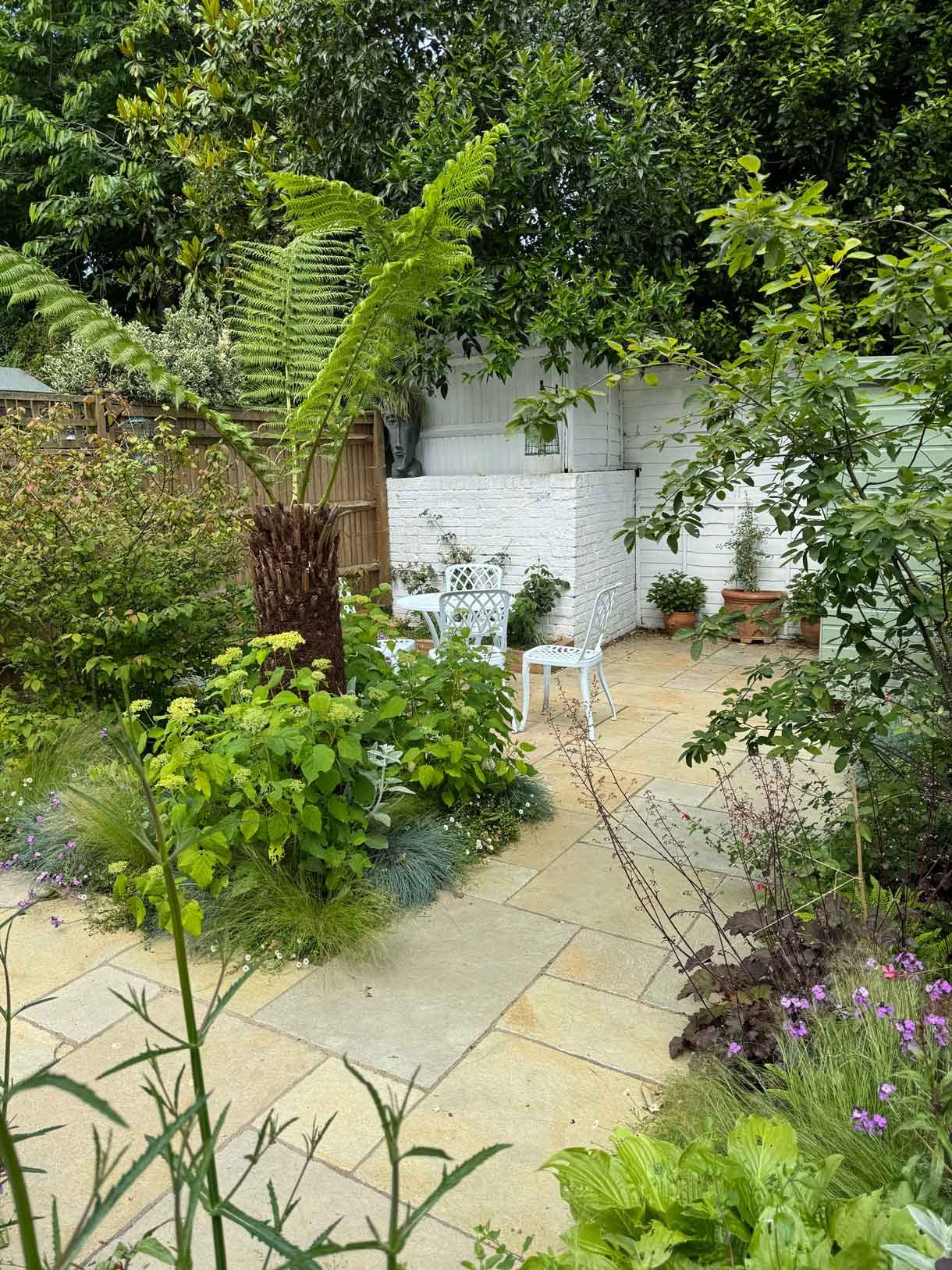 Courtyard garden in Putney with lots of plants.