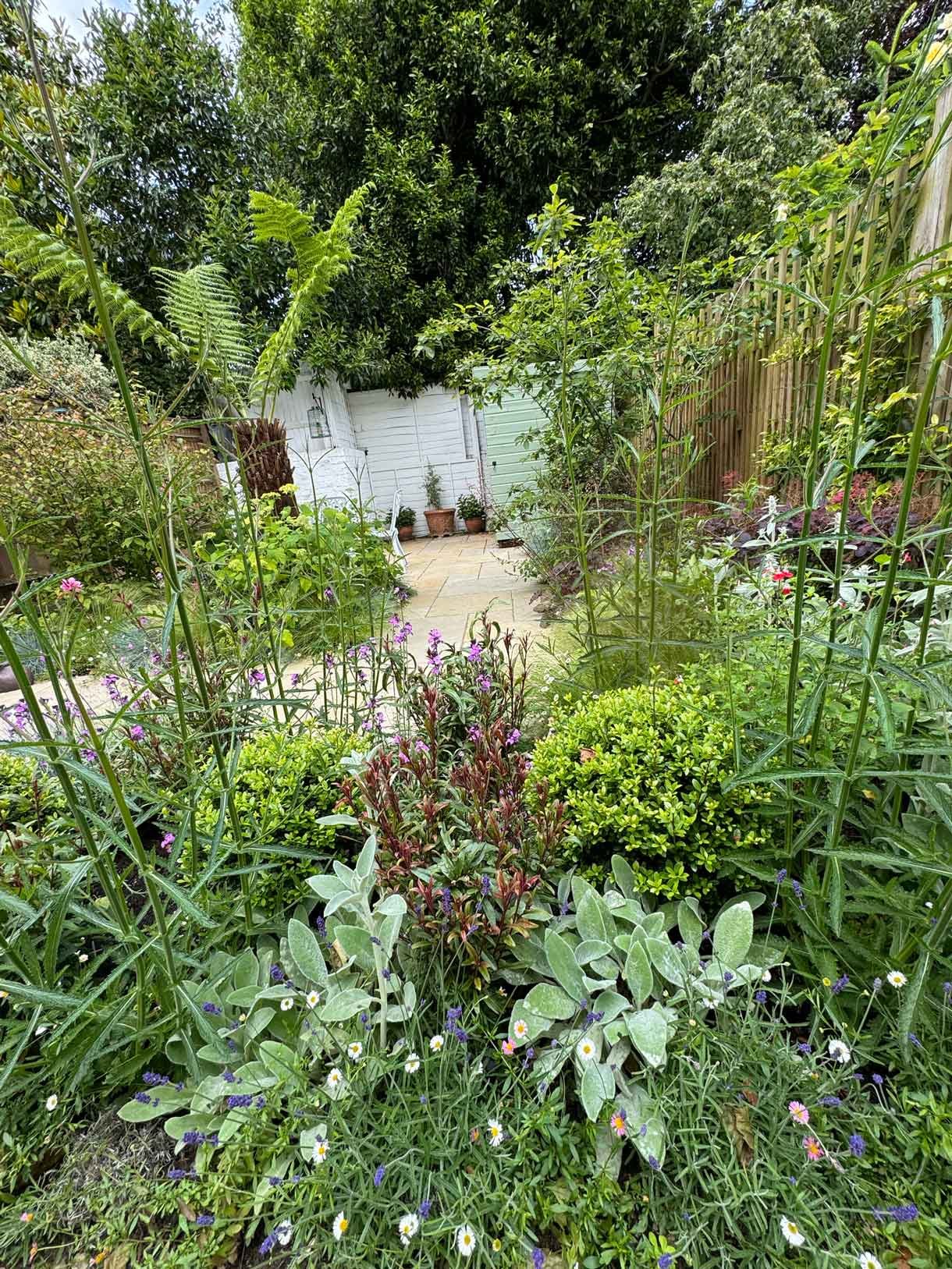 Courtyard garden in Putney with lots of plants.