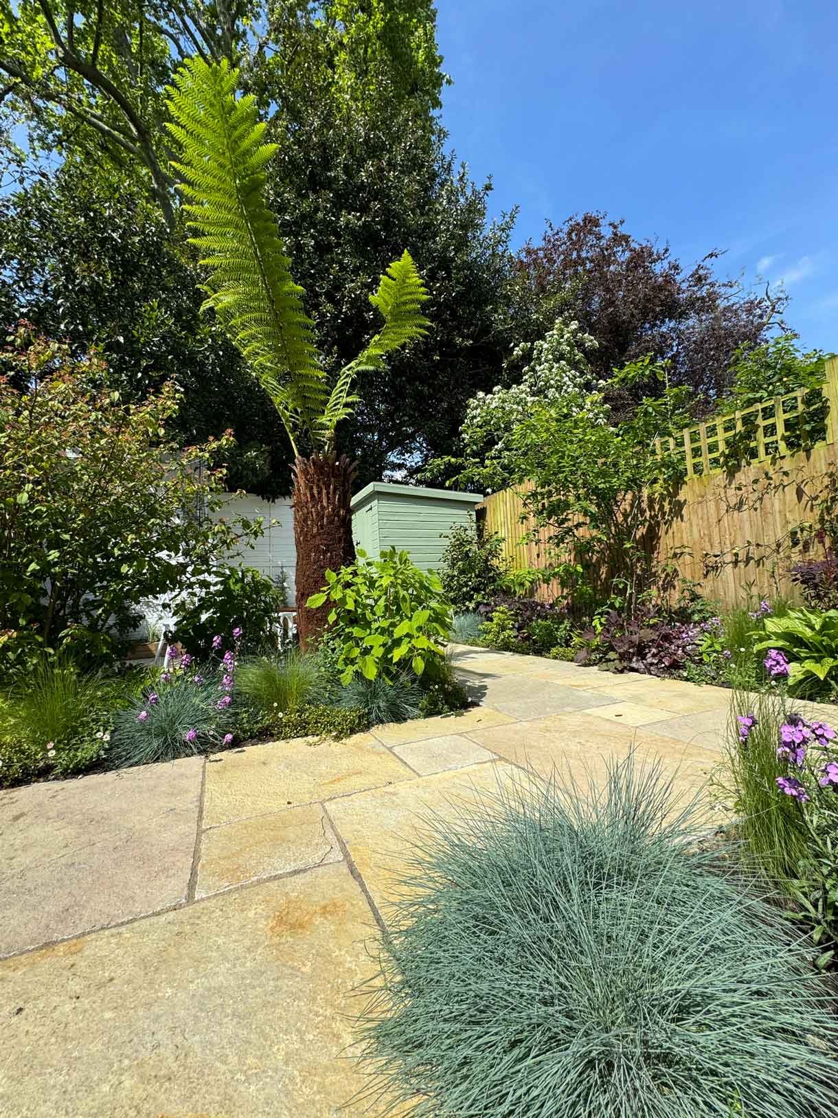 Courtyard garden in Putney with lots of plants.