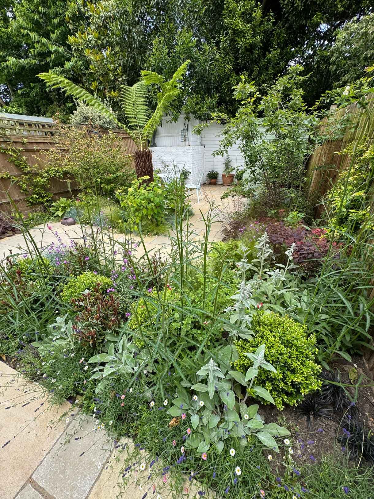 Courtyard garden in Putney with lots of plants.