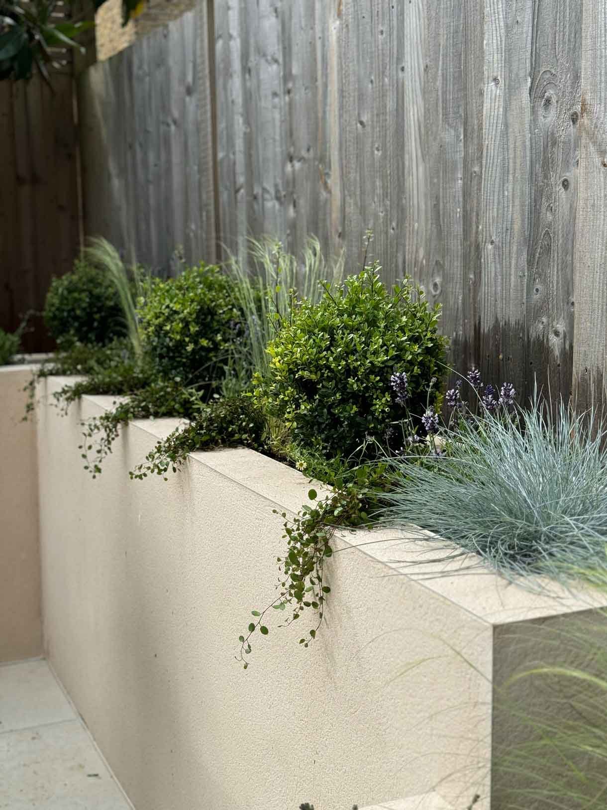 White rendered planter