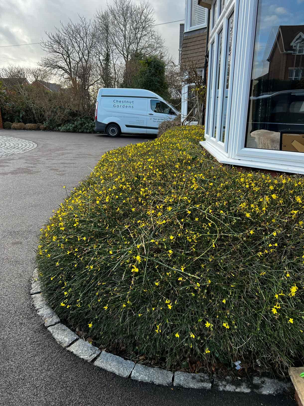 A well kept garden as part of our garden maintenance service.