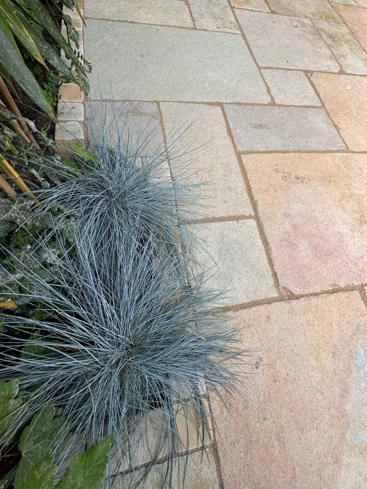 A new limestone patio in the project pack pattern. Beige and warm yellow colours.