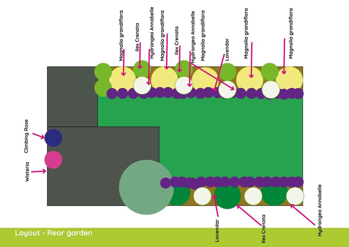 planting design plan and what clients can expect, lots of pictures of plants and where they go