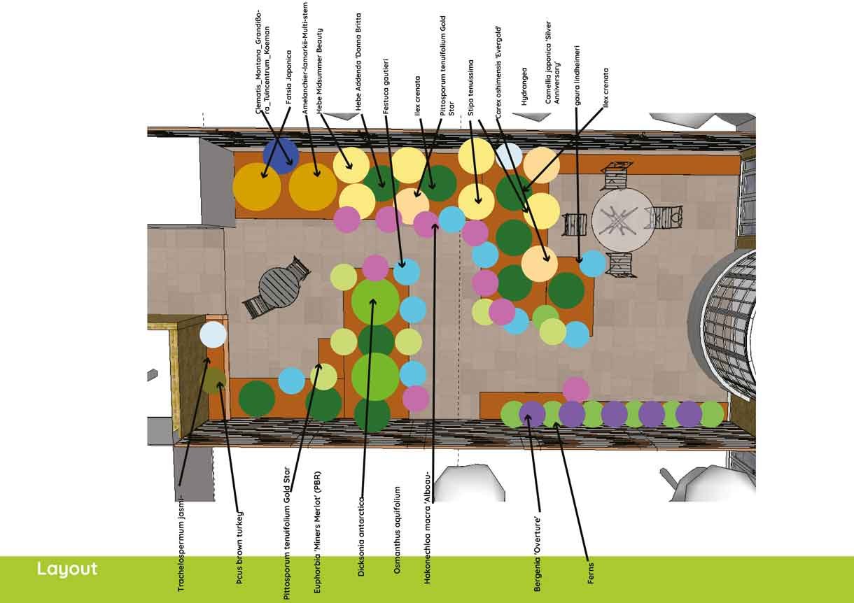 planting design plan and what clients can expect, lots of pictures of plants and where they go