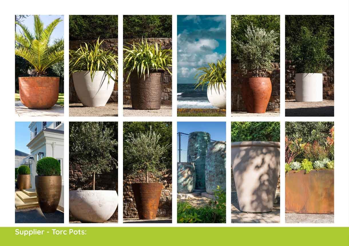 planting design plan and what clients can expect, lots of pictures of plants and where they go
