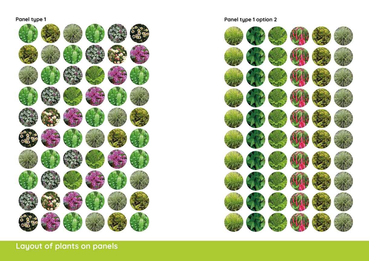 planting design plan and what clients can expect, lots of pictures of plants and where they go