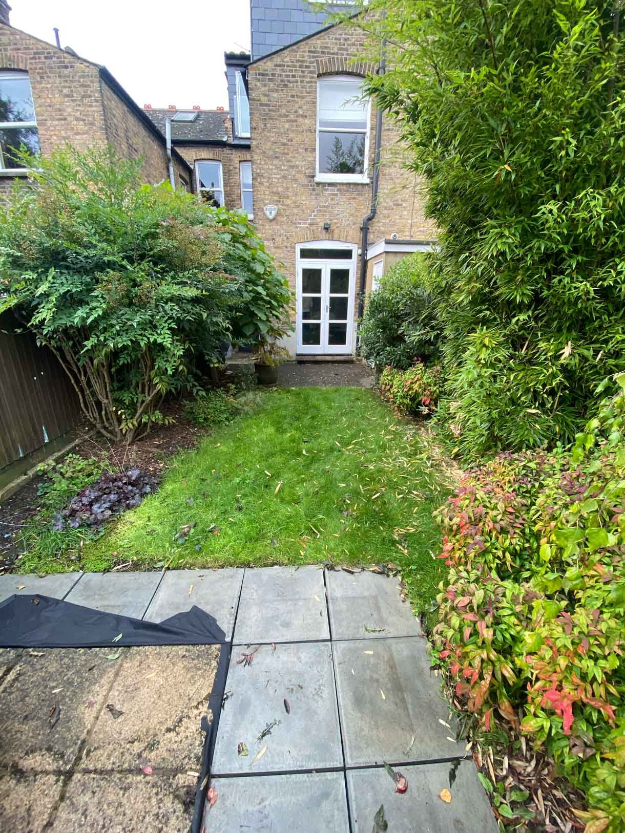 The garden before the transformation in Ealing. With lots of overgrown plants and in need of a tidy up.