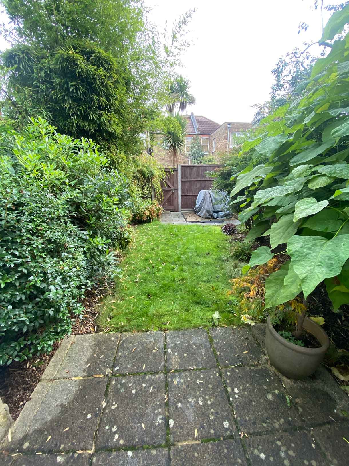 The garden before the transformation in Ealing. With lots of overgrown plants and in need of a tidy up.