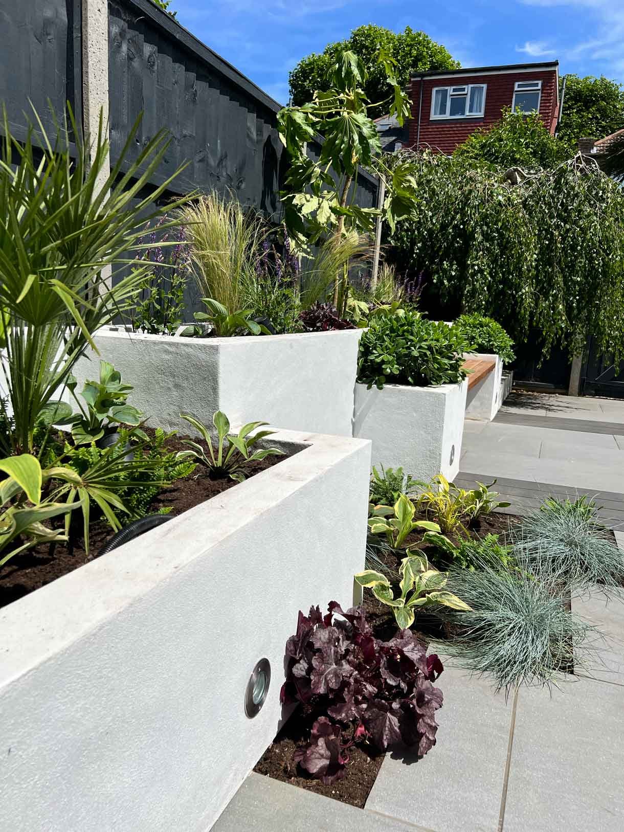 Garden redesign, using porcelain and composite decking and white rendered planters in Ealing, West London.