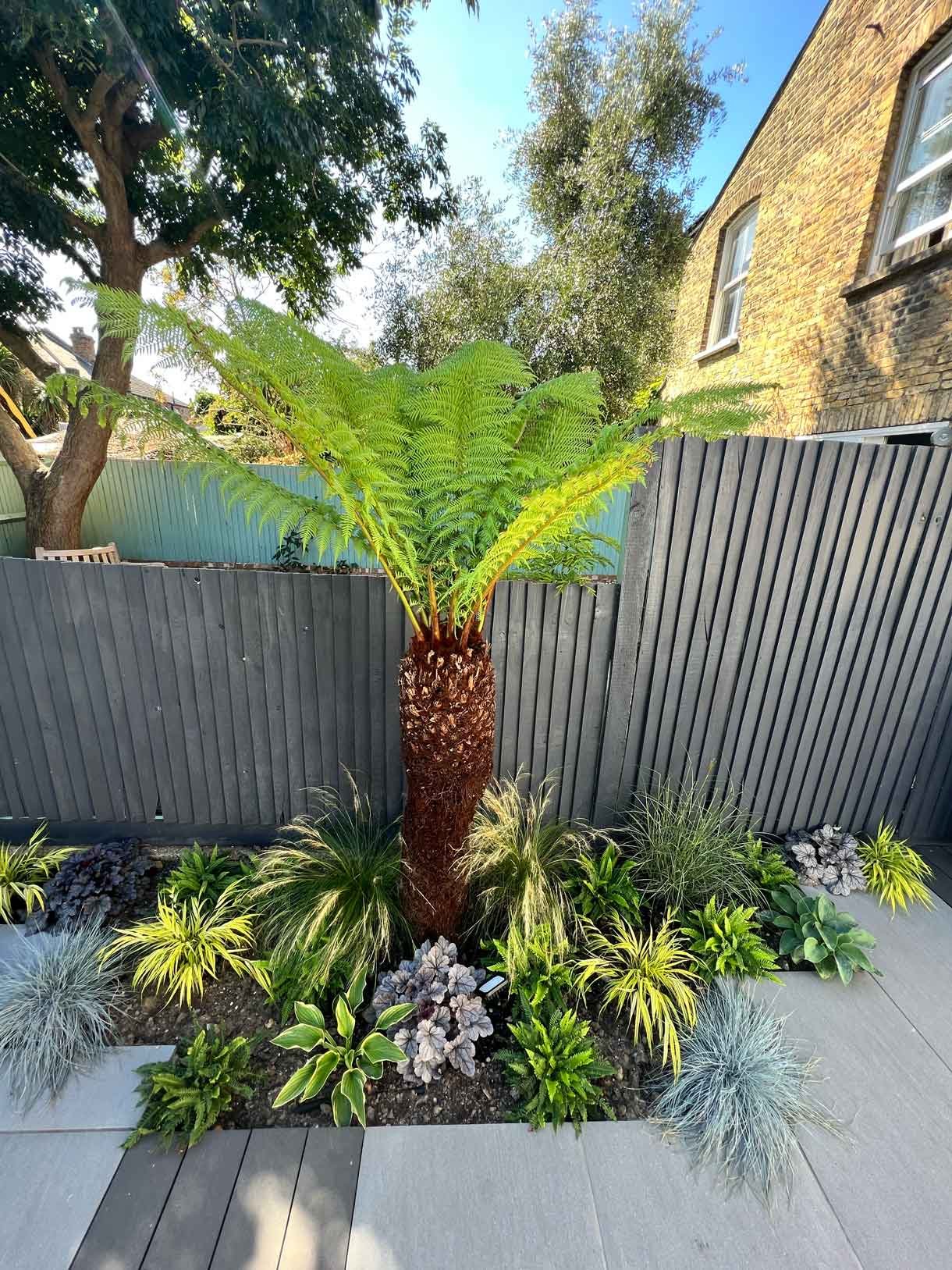 Garden redesign, using porcelain and composite decking and white rendered planters in Ealing, West London.