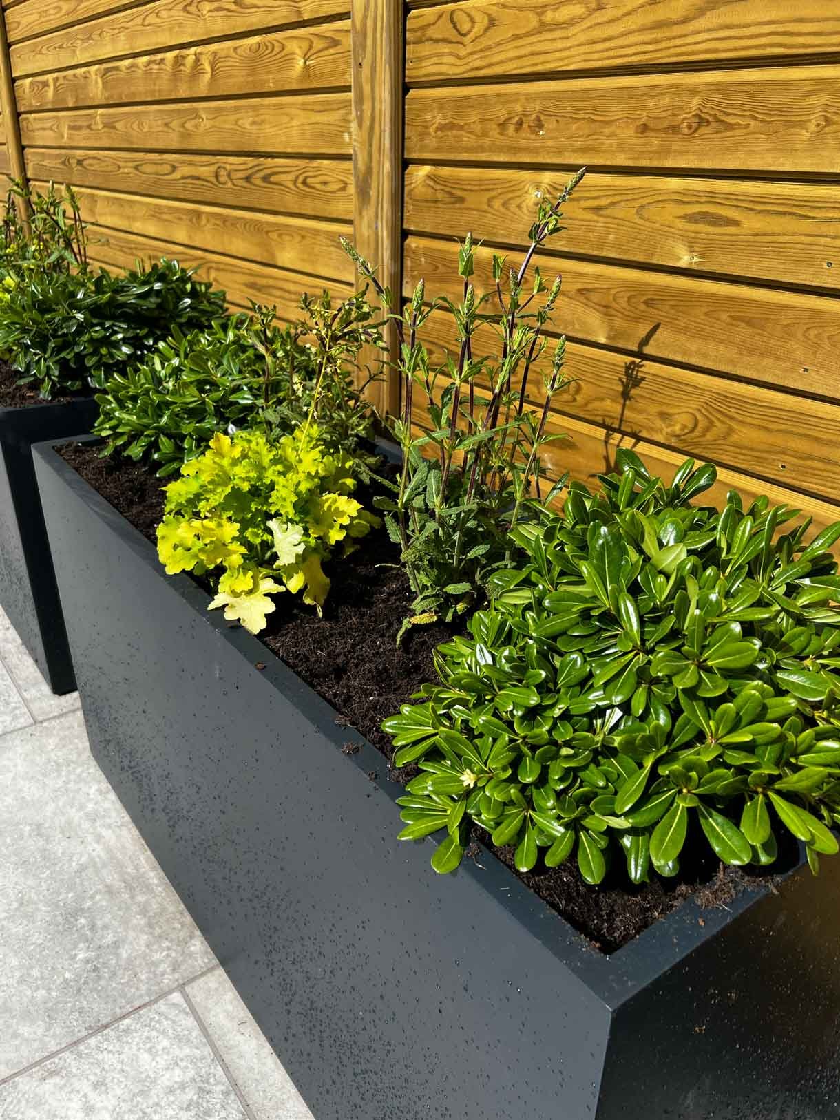 A garden completely paved in porcelain tiles and planted in cut outs of the tiles and raised planters.