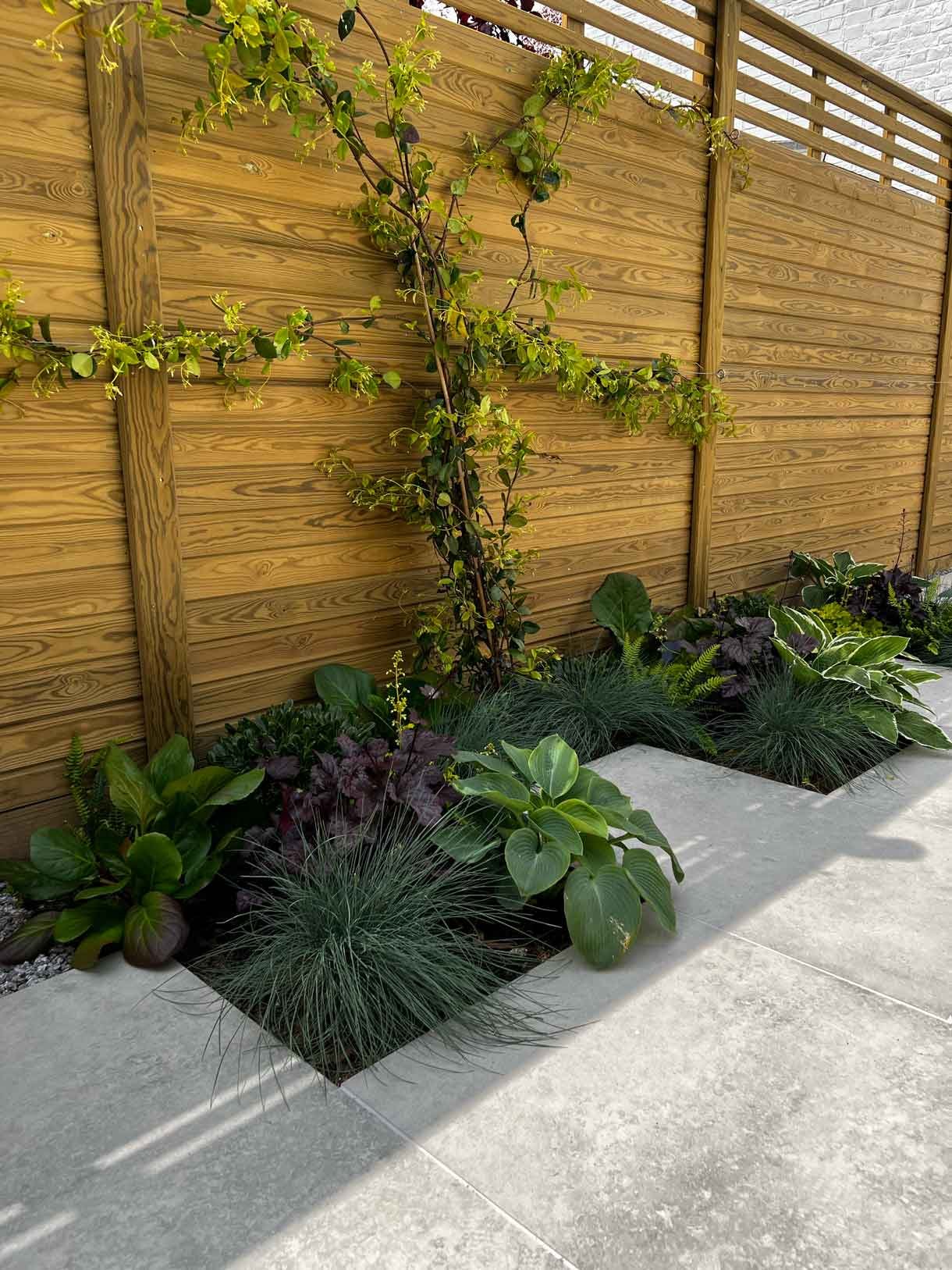 A garden completely paved in porcelain tiles and planted in cut outs of the tiles and raised planters.