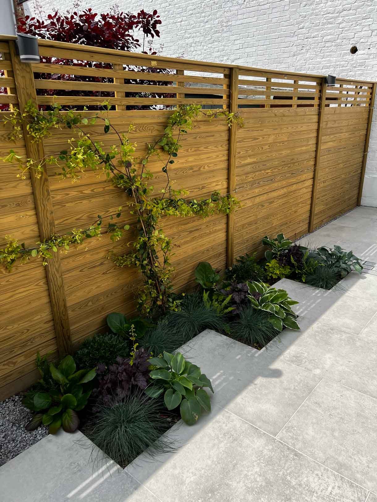 A garden completely paved in porcelain tiles and planted in cut outs of the tiles and raised planters.
