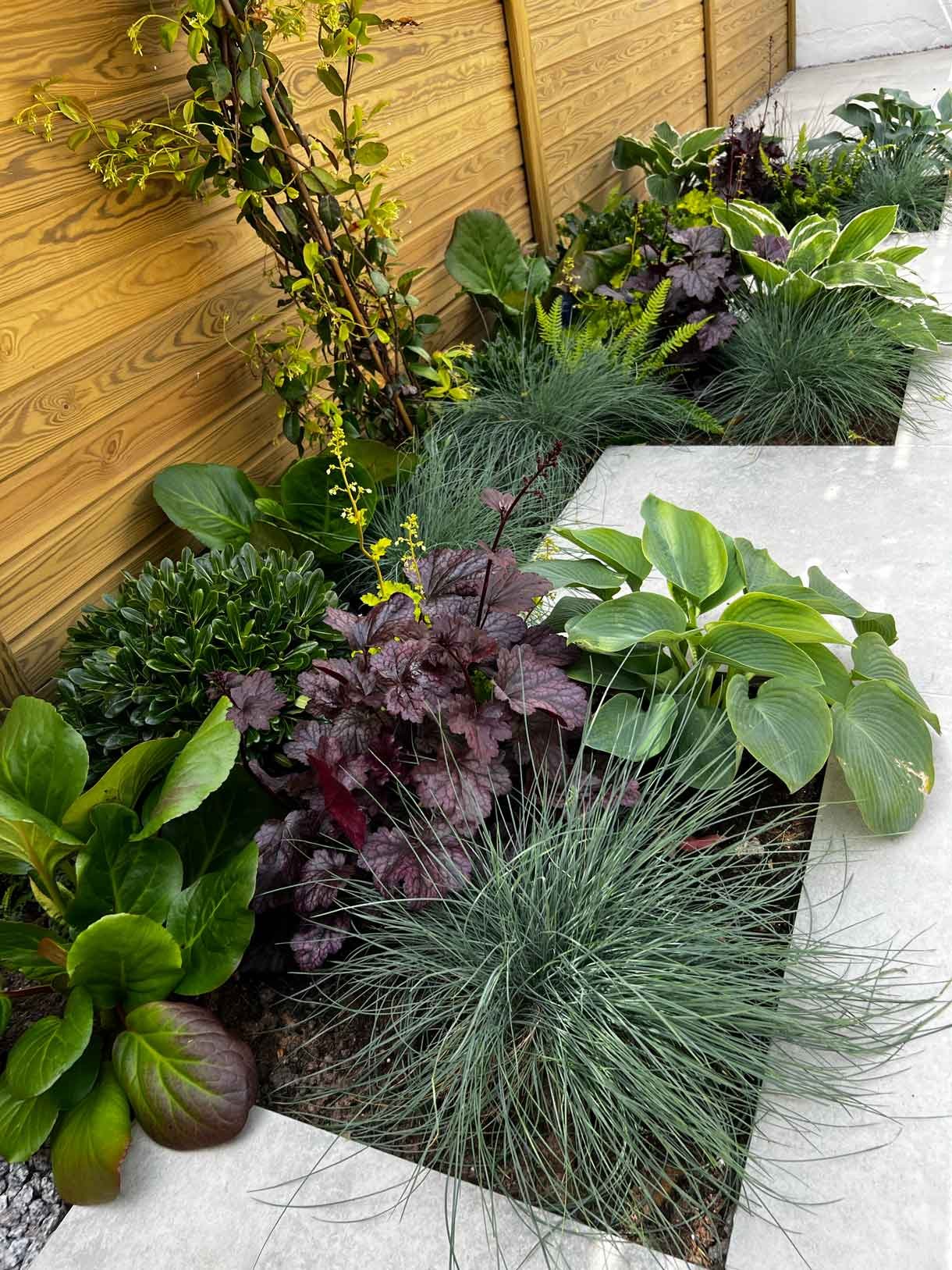 A garden completely paved in porcelain tiles and planted in cut outs of the tiles and raised planters.