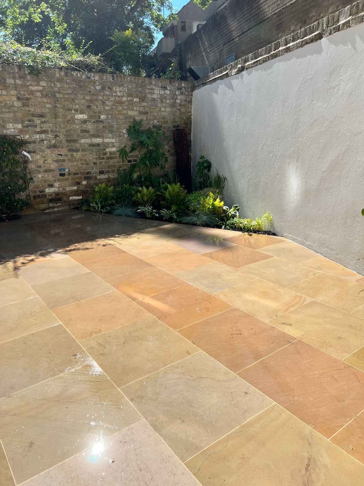 Lots of plants at a project in Notting Hill for a small garden flat.