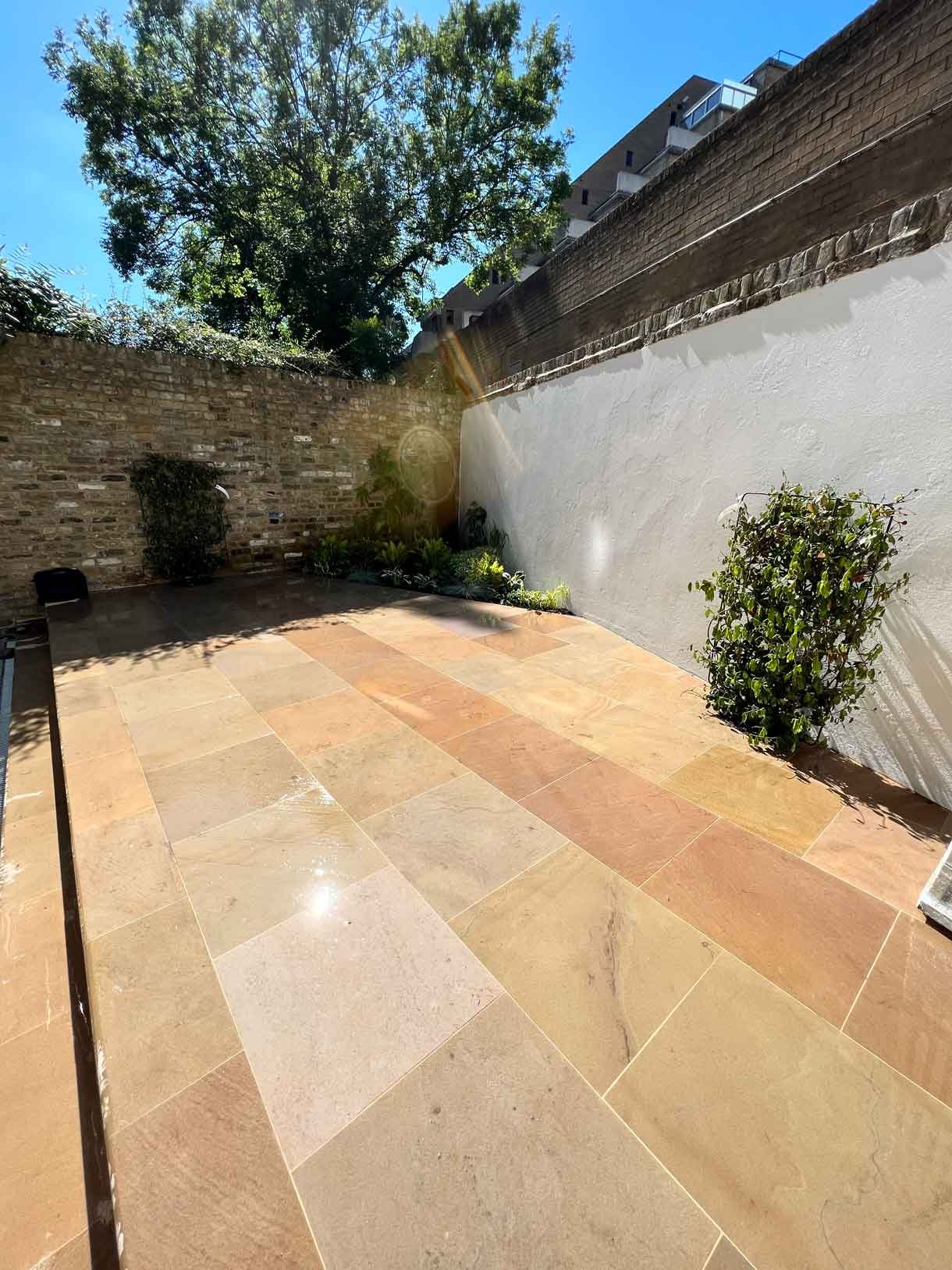 Lots of plants at a project in Notting Hill for a small garden flat.