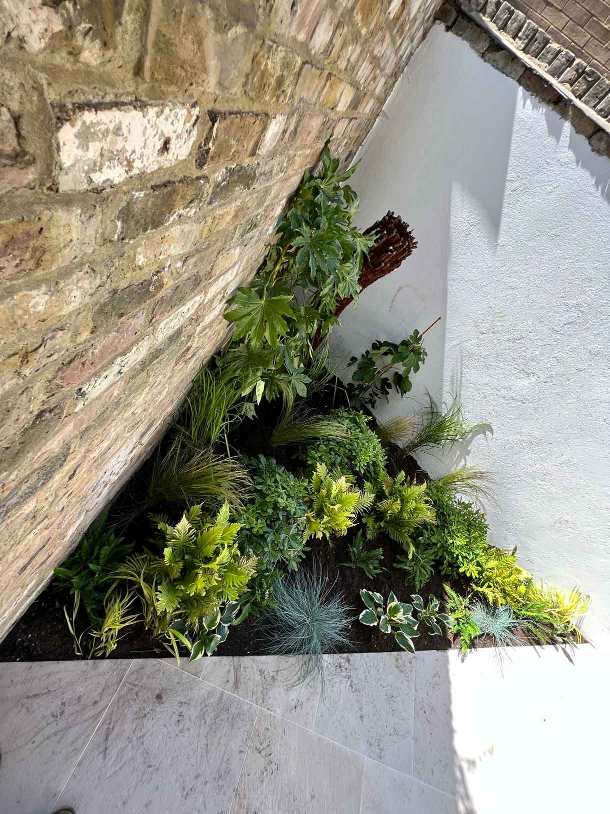 Lots of plants at a project in Notting Hill for a small garden flat.