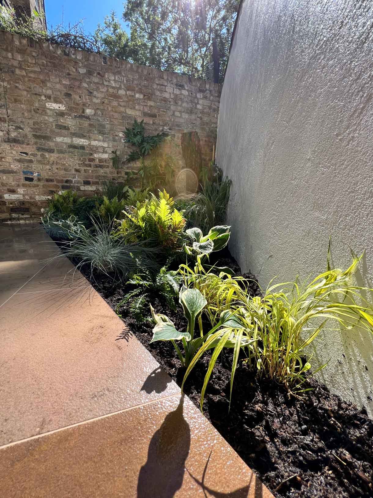 Lots of plants at a project in Notting Hill for a small garden flat.