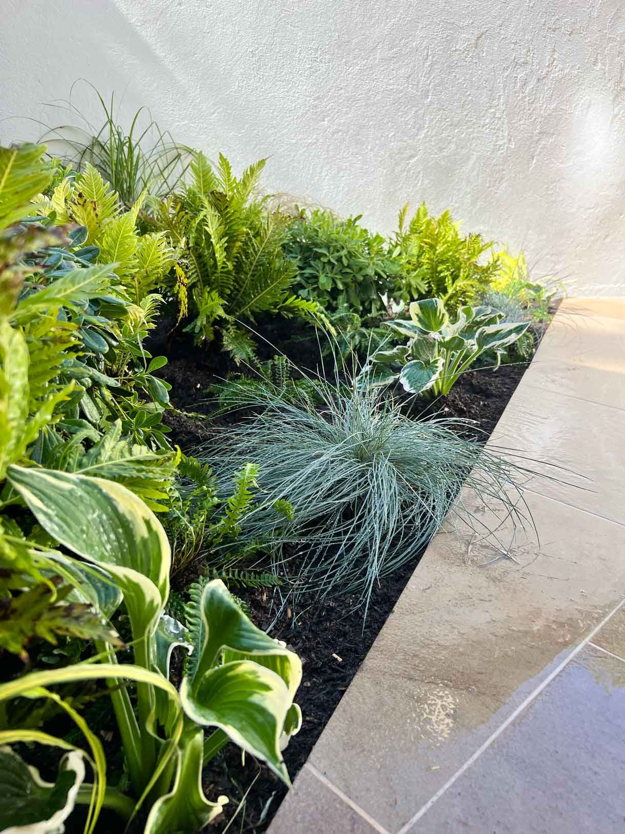 A garden flat in the heart of Notting Hill in need of some plants.