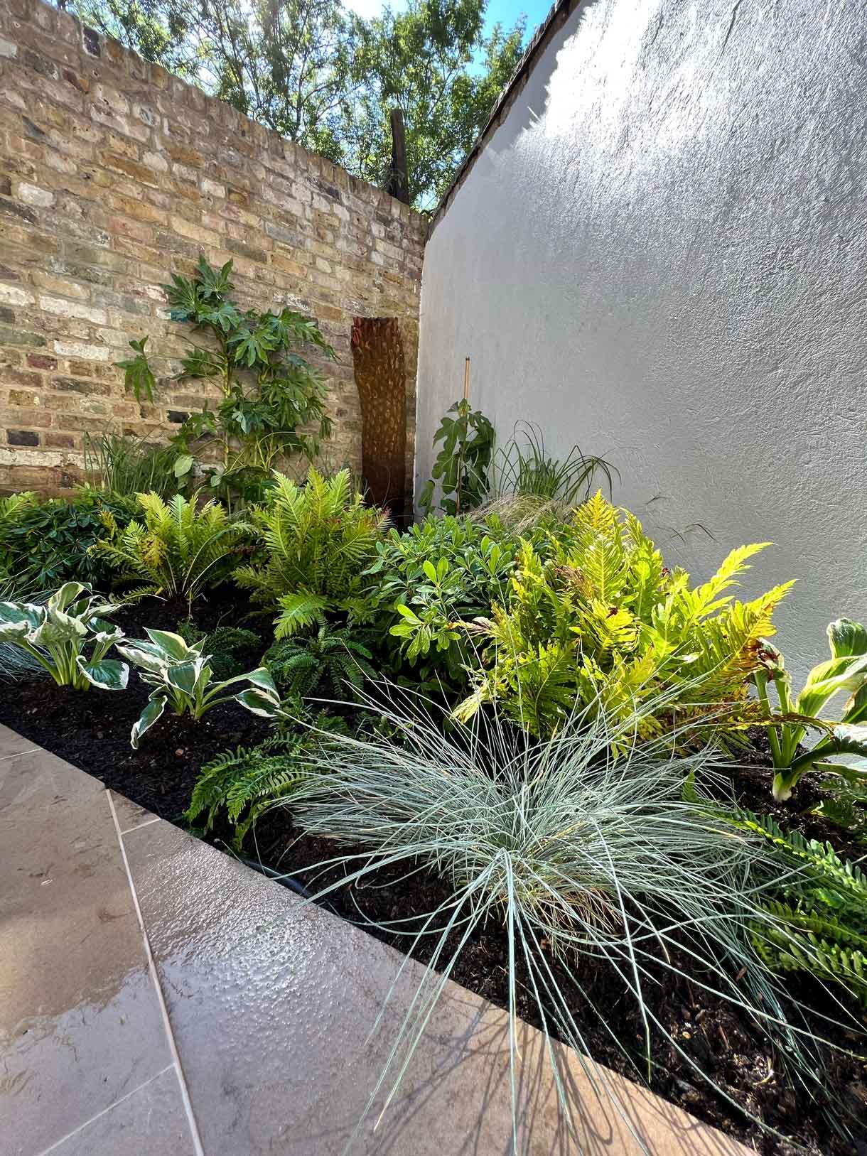 Lots of plants at a project in Notting Hill for a small garden flat.