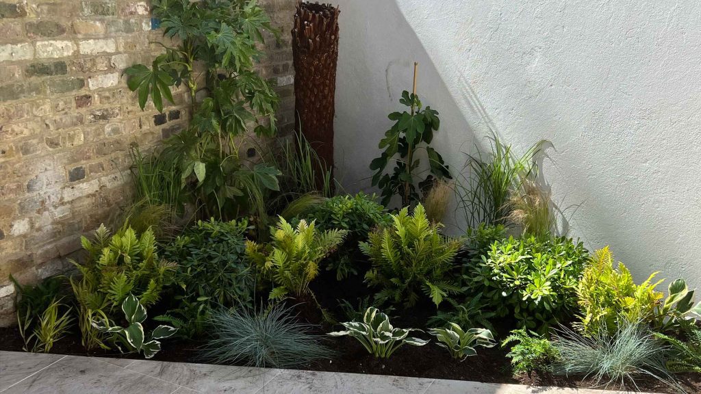 Soft naturalistic planting scheme with hostas, ferns, grasses and large-leaved exotics in Notting Hill