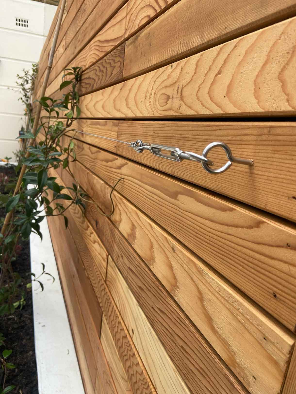 Courtyard garden in Richmond with white rendered planters and cedar fencing.