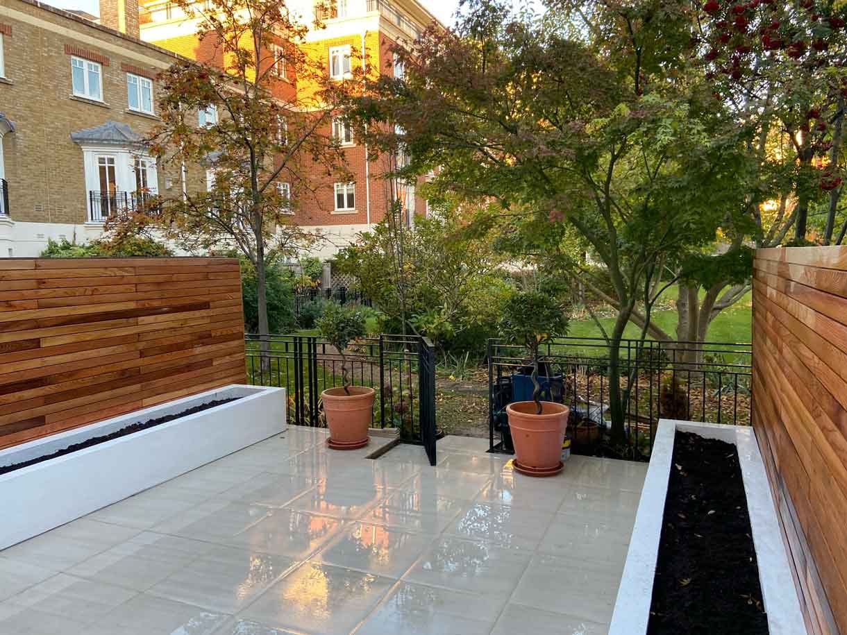 Courtyard garden in Richmond with white rendered planters and cedar fencing.