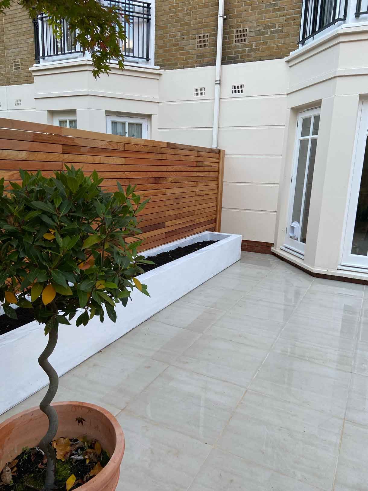 Courtyard garden in Richmond with white rendered planters and cedar fencing.