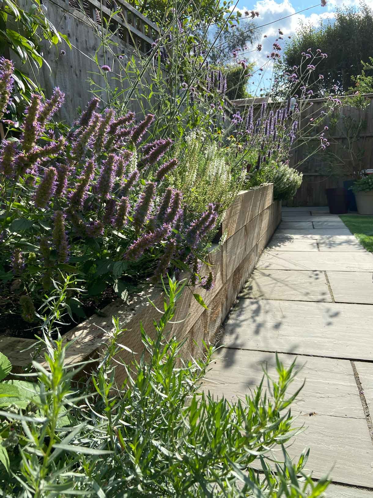 A small garden in Twickenham which we designed and built using sandstone for the patio and softwood sleepers for raised beds.