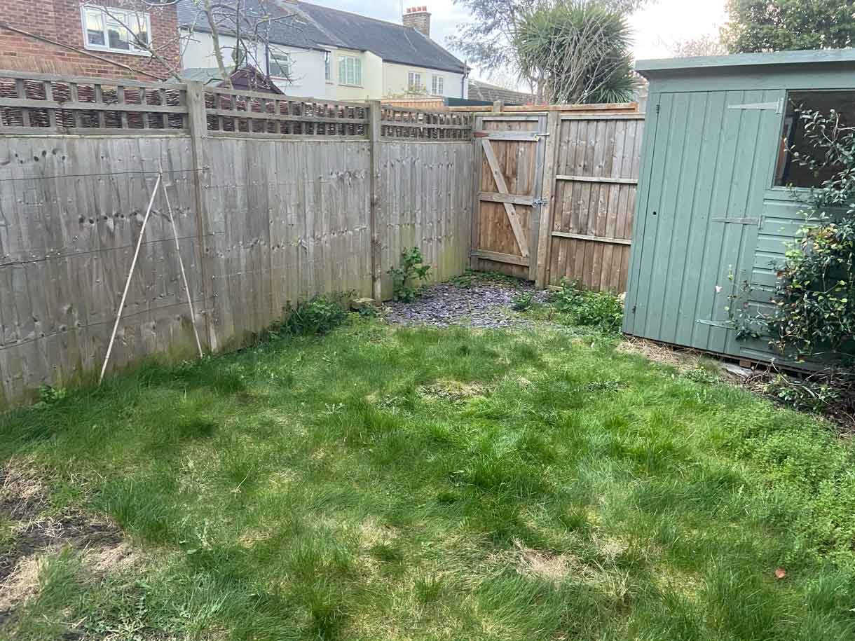 The garden before we started with just grass and a shed.