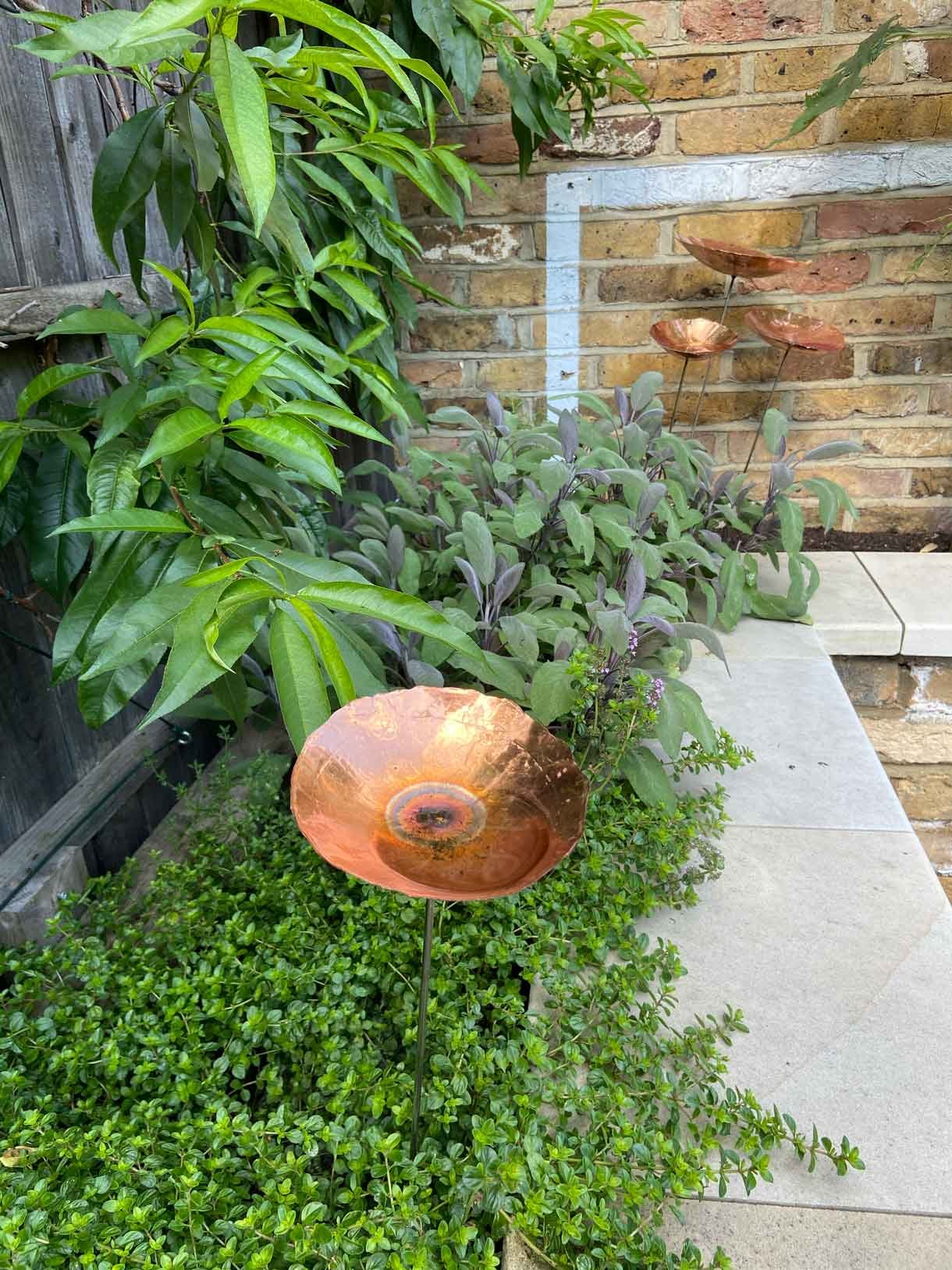 A small garden in Twickenham which we designed and built using sandstone for the patio and softwood sleepers for raised beds.