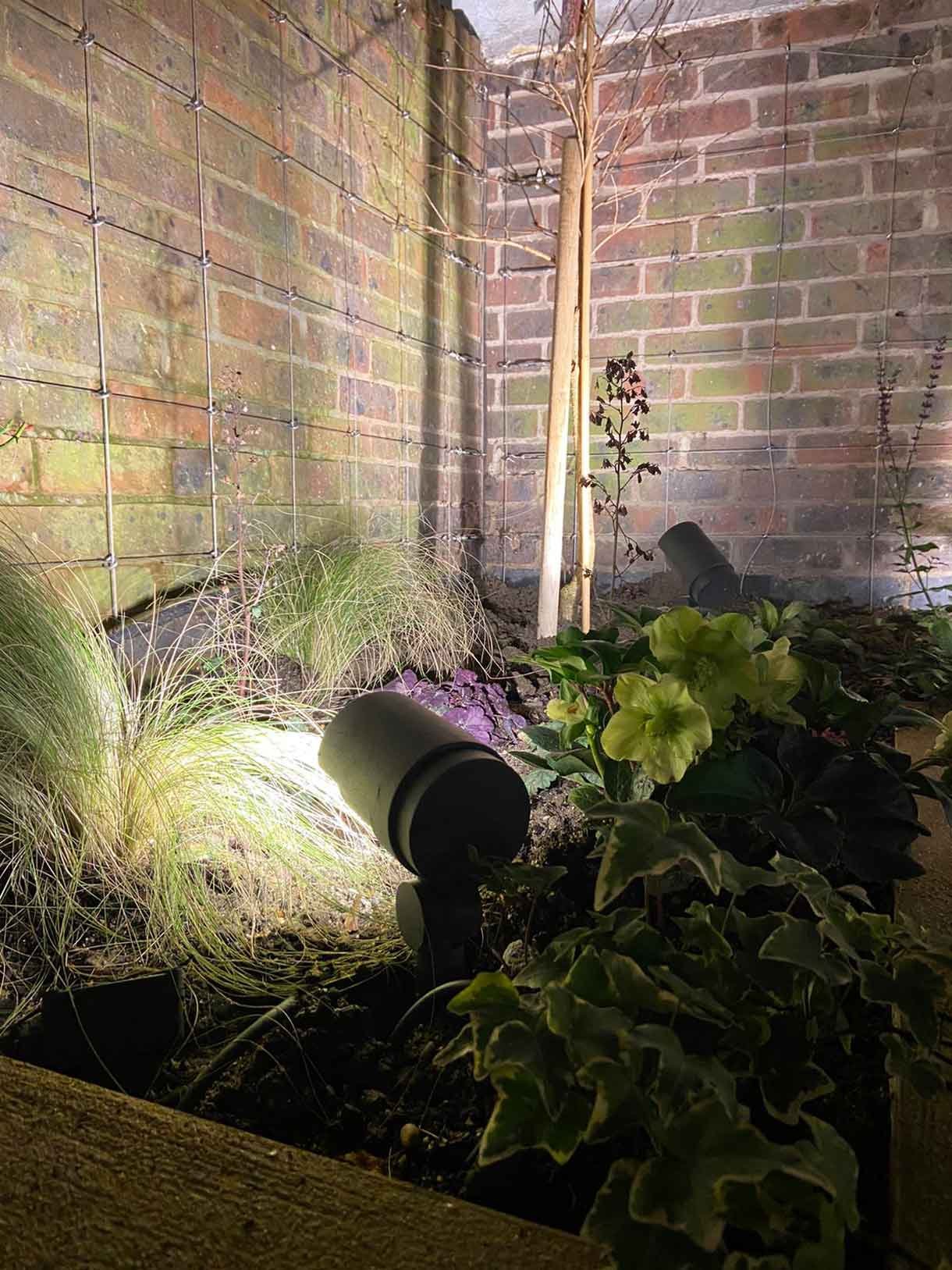 A small courtyard garden in Chiswick with raised planters.