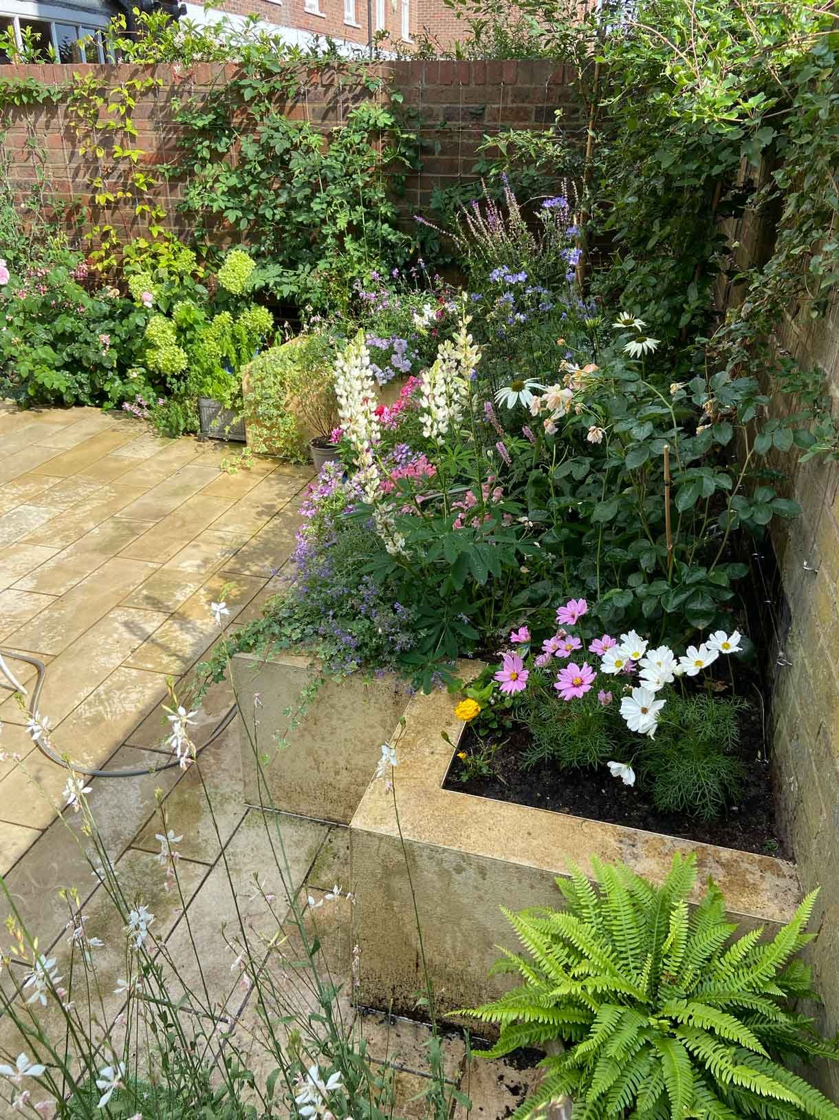 A small courtyard garden in Chiswick with raised planters.