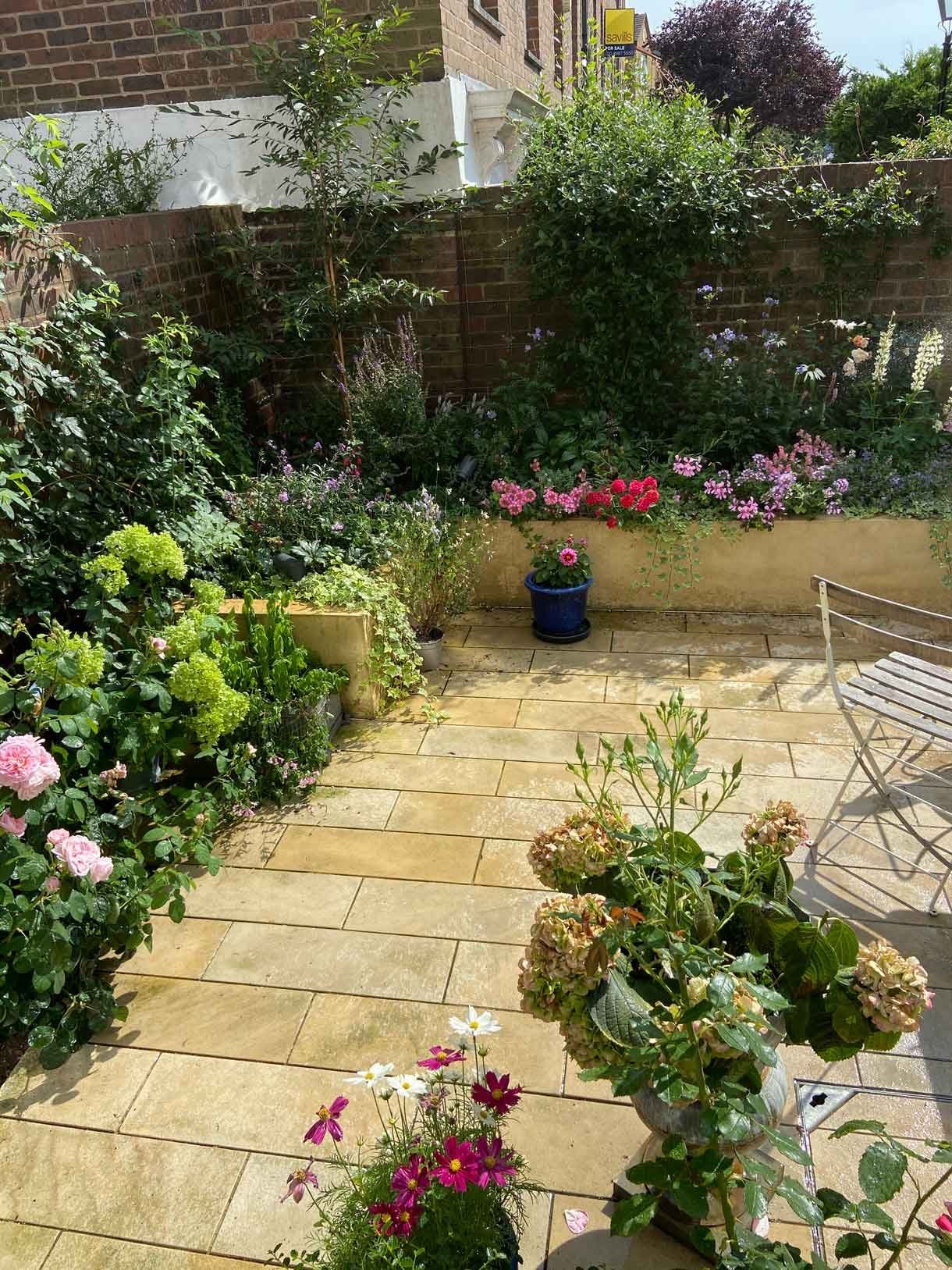 A small courtyard garden in Chiswick with raised planters.