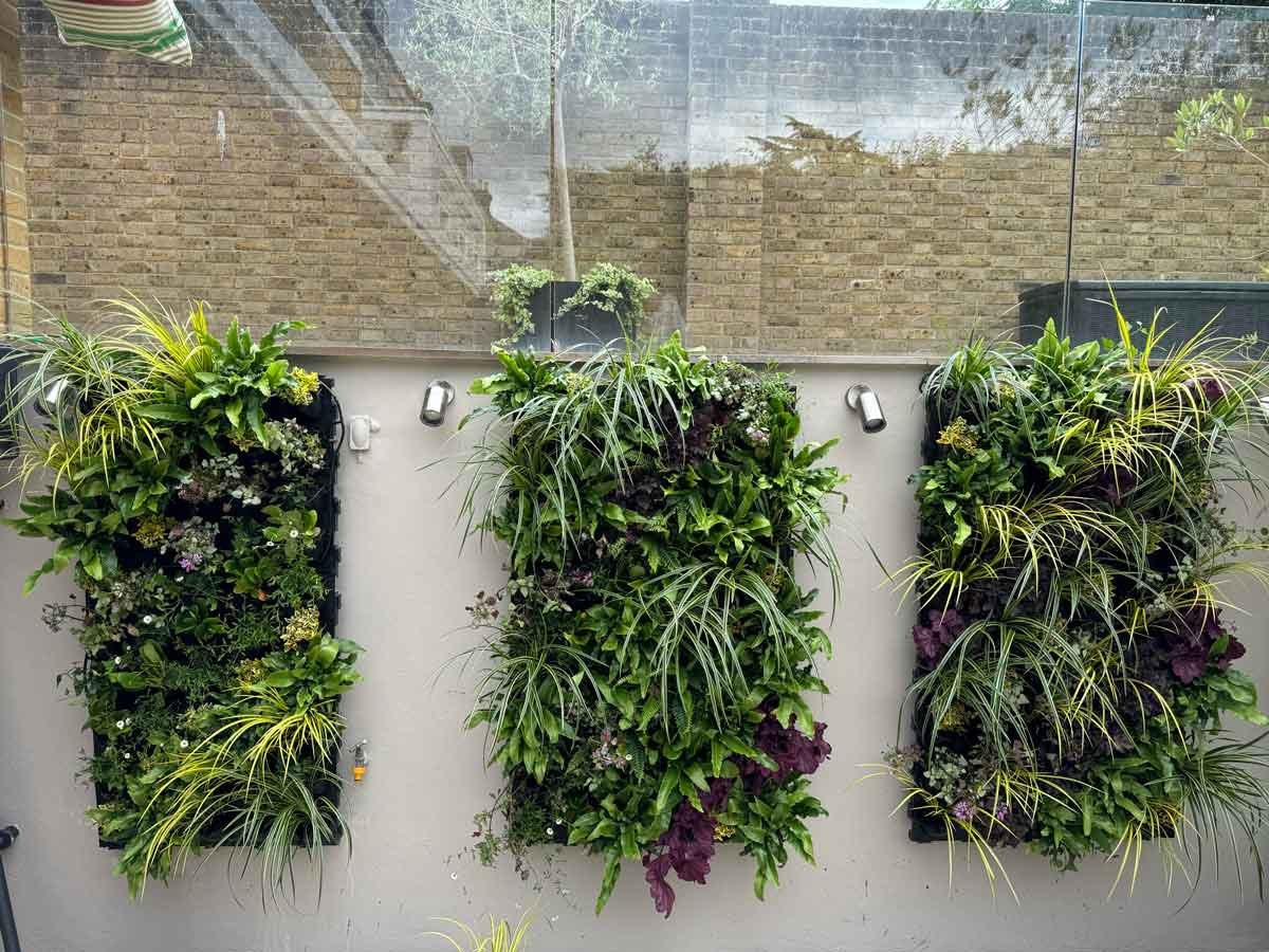 A real green living wall panel