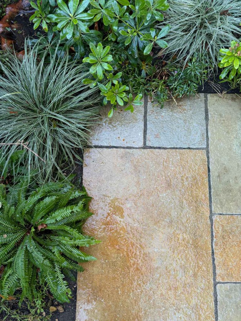 Limestone paving with natural fossil texture next to planting border with ornamental grasses